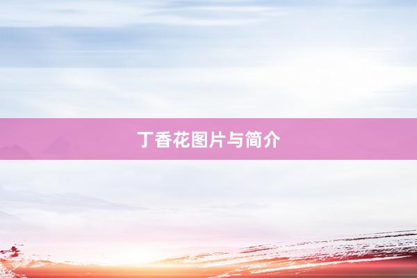 丁香花图片与简介